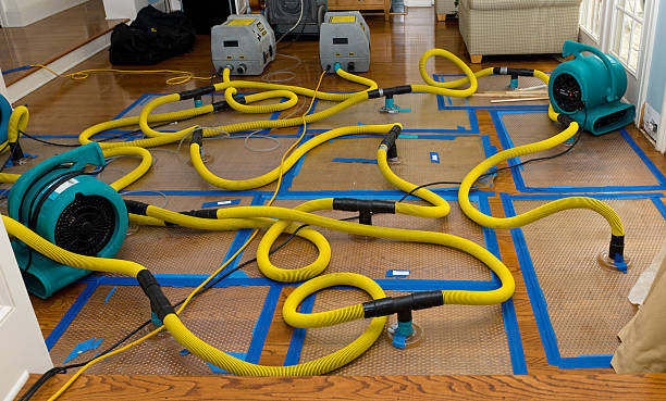 Professional Crawl Space Water Removal technician working in Lonsdale, MN